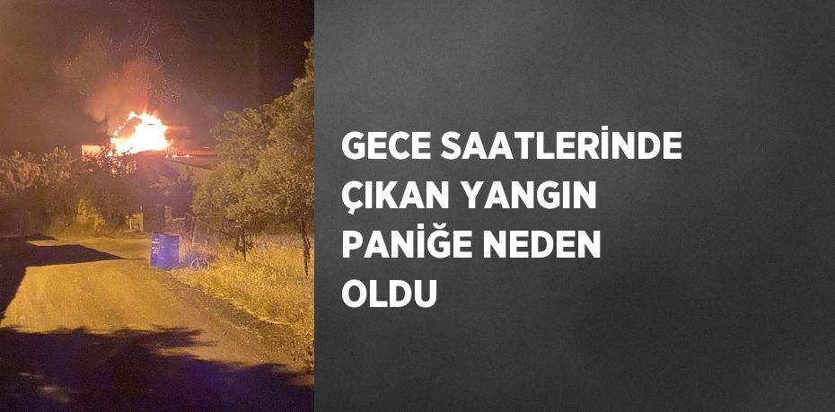 GECE SAATLERİNDE ÇIKAN YANGIN PANİĞE NEDEN OLDU