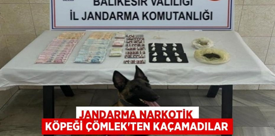 Jandarma narkotik köpeği Çömlek'ten kaçamadılar