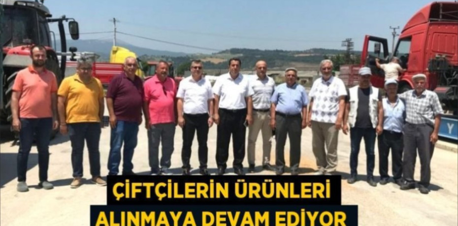 Çiftçilerin ürünleri alınmaya devam ediyor