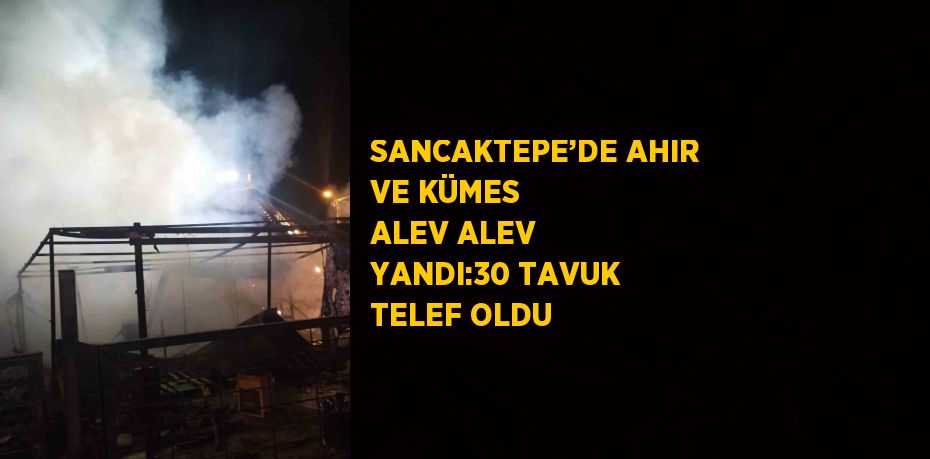 SANCAKTEPE’DE AHIR VE KÜMES ALEV ALEV YANDI:30 TAVUK TELEF OLDU