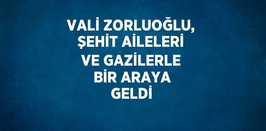 VALİ ZORLUOĞLU, ŞEHİT AİLELERİ VE GAZİLERLE BİR ARAYA GELDİ