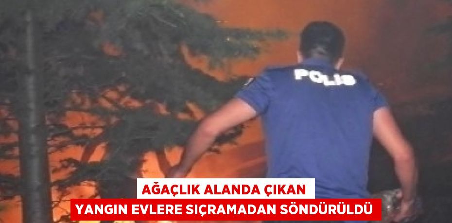 AĞAÇLIK ALANDA ÇIKAN YANGIN EVLERE SIÇRAMADAN SÖNDÜRÜLDÜ