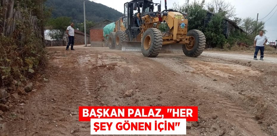 Başkan Palaz, "Her şey Gönen için"