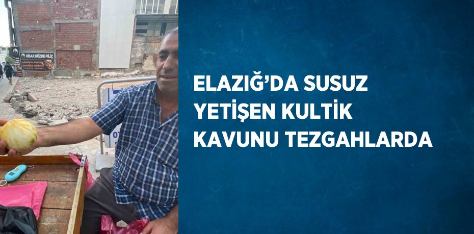 ELAZIĞ’DA SUSUZ YETİŞEN KULTİK KAVUNU TEZGAHLARDA