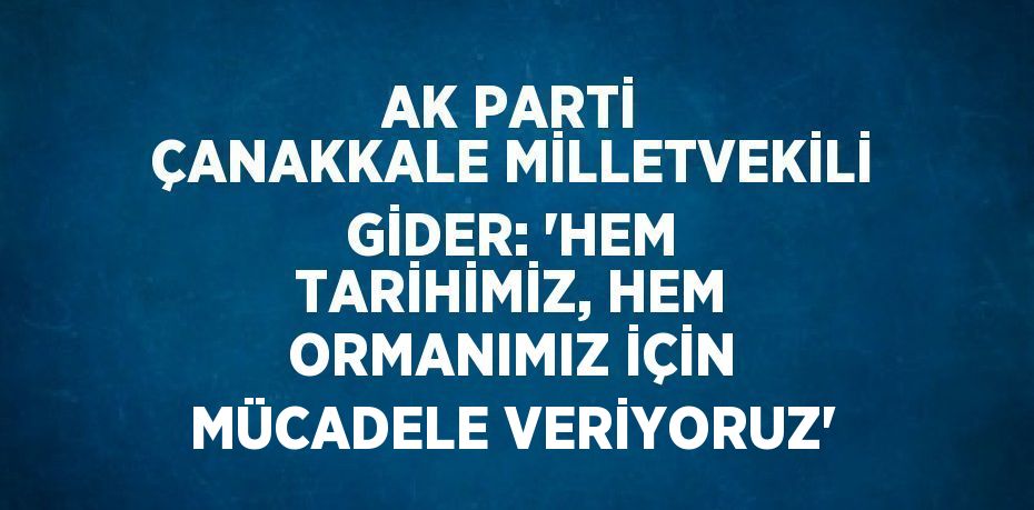 AK PARTİ ÇANAKKALE MİLLETVEKİLİ GİDER: 'HEM TARİHİMİZ, HEM ORMANIMIZ İÇİN MÜCADELE VERİYORUZ'