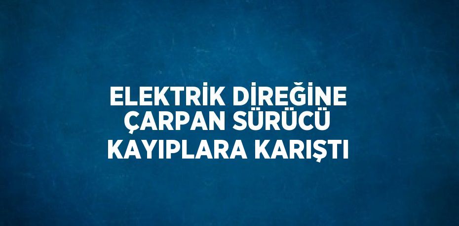 ELEKTRİK DİREĞİNE ÇARPAN SÜRÜCÜ KAYIPLARA KARIŞTI