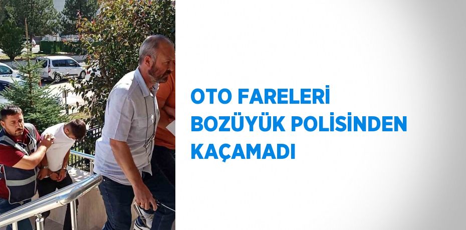 OTO FARELERİ BOZÜYÜK POLİSİNDEN KAÇAMADI