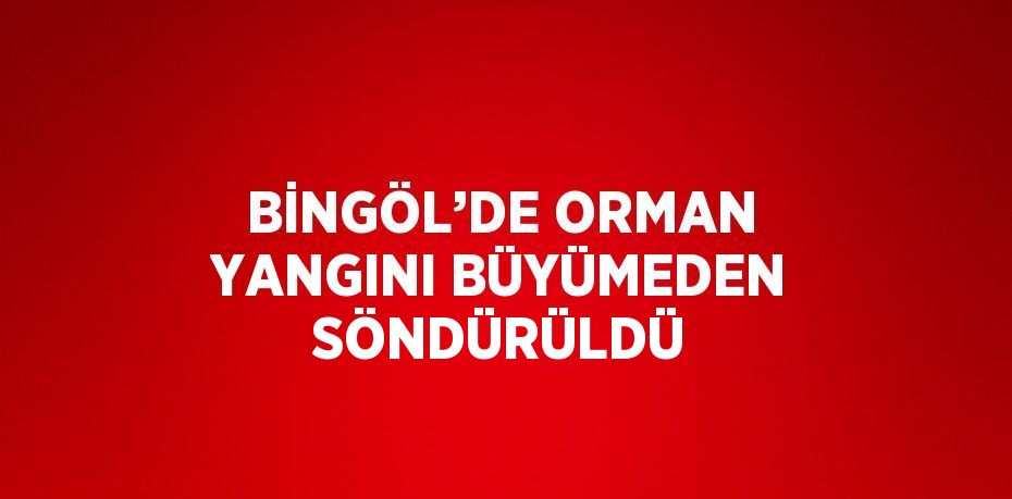 BİNGÖL’DE ORMAN YANGINI BÜYÜMEDEN SÖNDÜRÜLDÜ