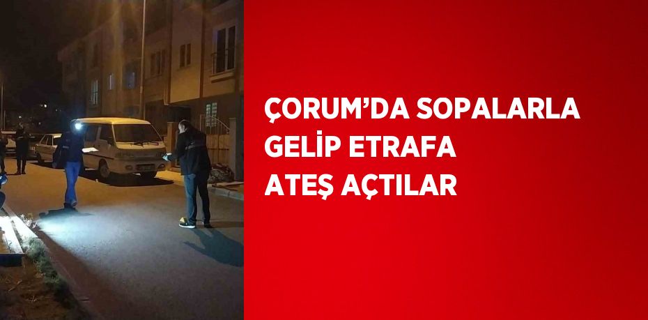 ÇORUM’DA SOPALARLA GELİP ETRAFA ATEŞ AÇTILAR