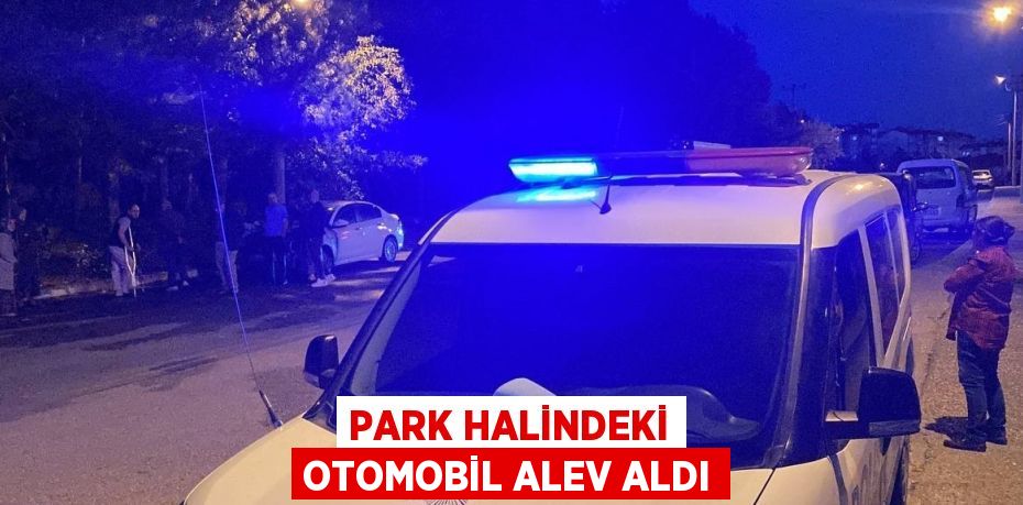 PARK HALİNDEKİ OTOMOBİL ALEV ALDI