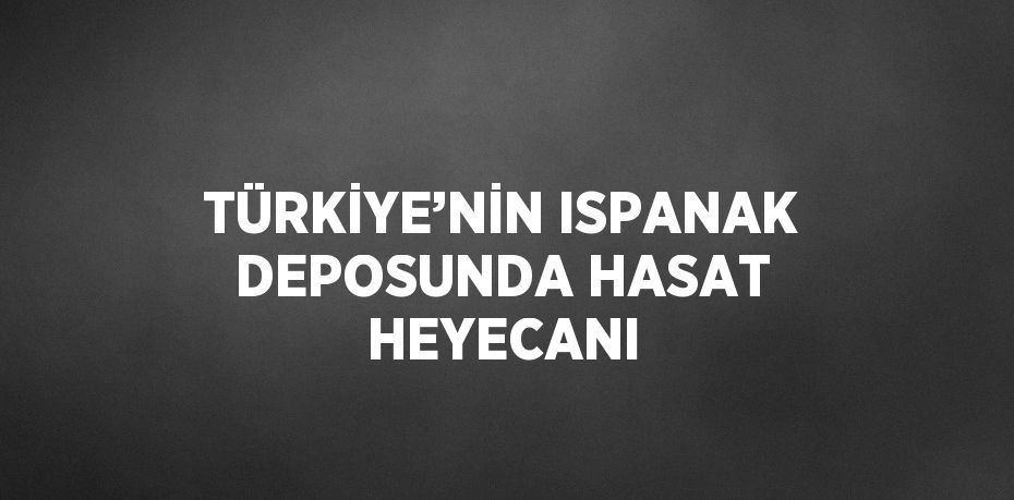 TÜRKİYE’NİN ISPANAK DEPOSUNDA HASAT HEYECANI