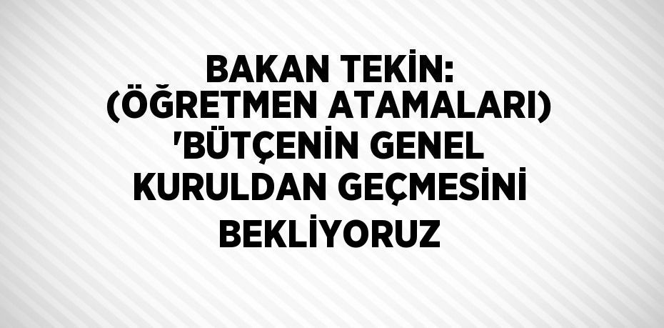 BAKAN TEKİN: (ÖĞRETMEN ATAMALARI) 'BÜTÇENİN GENEL KURULDAN GEÇMESİNİ BEKLİYORUZ