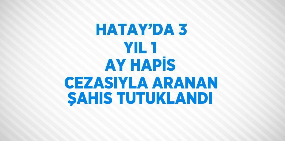 HATAY’DA 3 YIL 1 AY HAPİS CEZASIYLA ARANAN ŞAHIS TUTUKLANDI