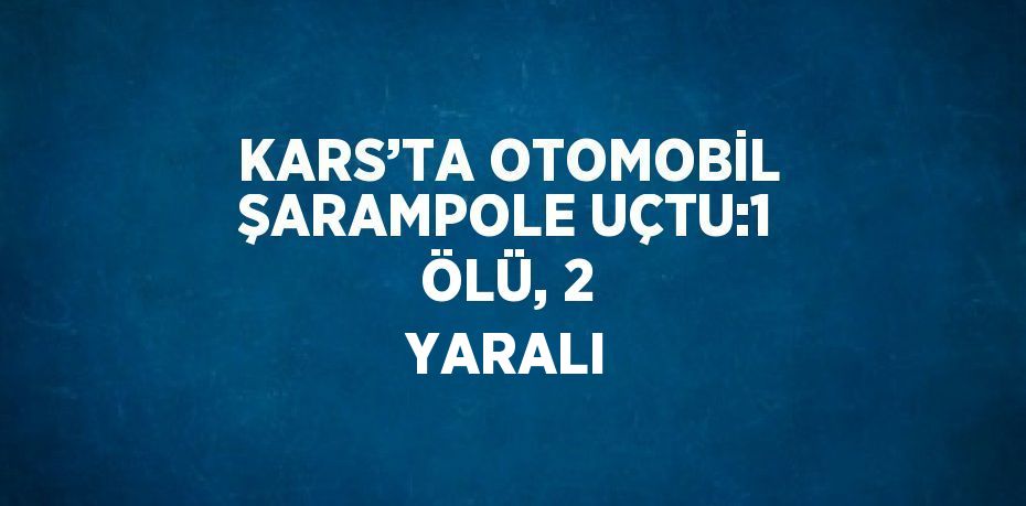 KARS’TA OTOMOBİL ŞARAMPOLE UÇTU:1 ÖLÜ, 2 YARALI