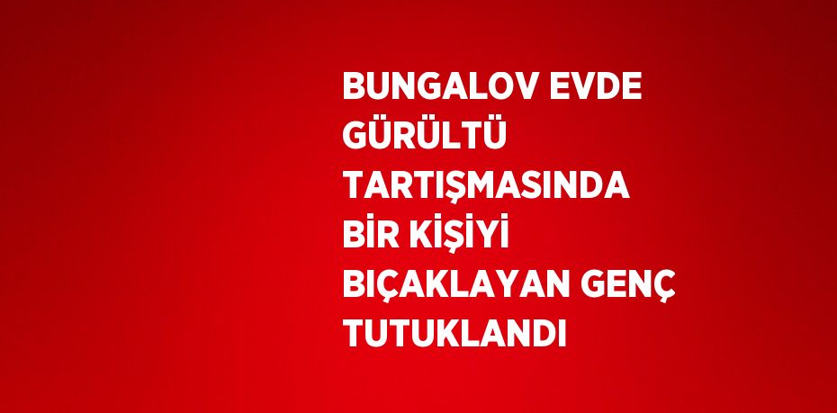 BUNGALOV EVDE GÜRÜLTÜ TARTIŞMASINDA BİR KİŞİYİ BIÇAKLAYAN GENÇ TUTUKLANDI