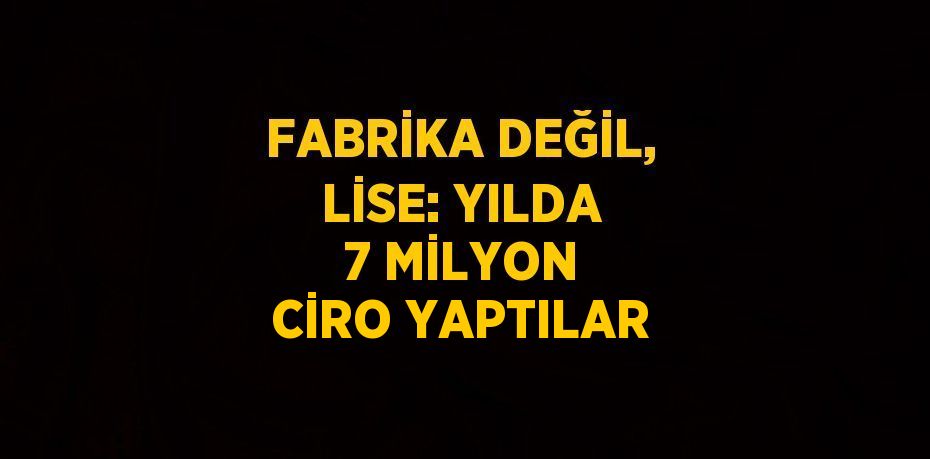 FABRİKA DEĞİL, LİSE: YILDA 7 MİLYON CİRO YAPTILAR