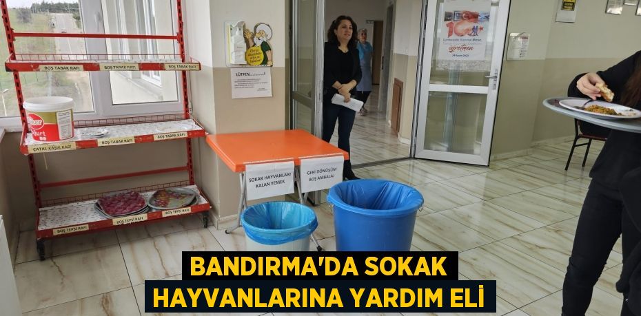 Bandırma'da sokak hayvanlarına yardım eli