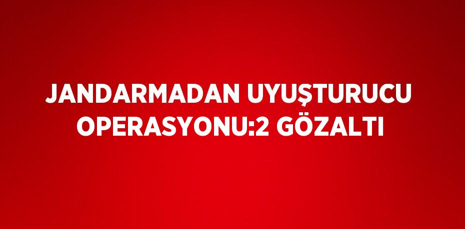 JANDARMADAN UYUŞTURUCU OPERASYONU:2 GÖZALTI