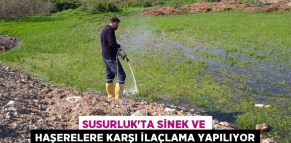 Susurluk'ta sinek ve haşerelere karşı ilaçlama yapılıyor