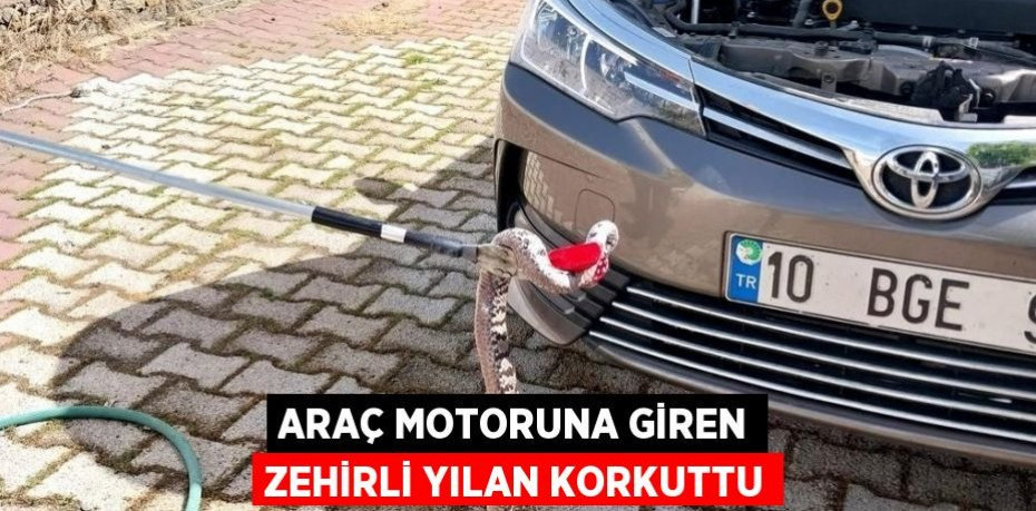 Araç motoruna giren zehirli yılan korkuttu