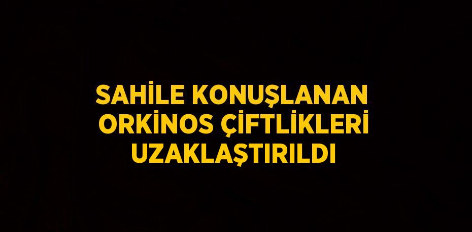 SAHİLE KONUŞLANAN ORKİNOS ÇİFTLİKLERİ UZAKLAŞTIRILDI