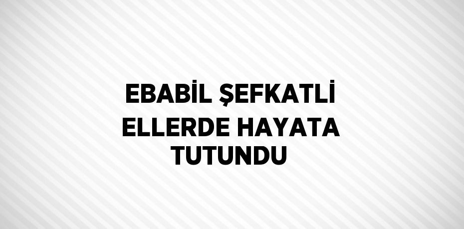 EBABİL ŞEFKATLİ ELLERDE HAYATA TUTUNDU