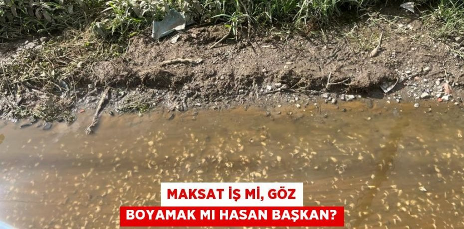 Maksat iş mi, göz boyamak mı Hasan Başkan?