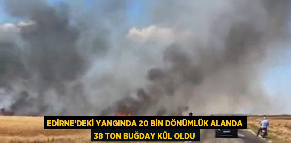 EDİRNE’DEKİ YANGINDA 20 BİN DÖNÜMLÜK ALANDA 38 TON BUĞDAY KÜL OLDU