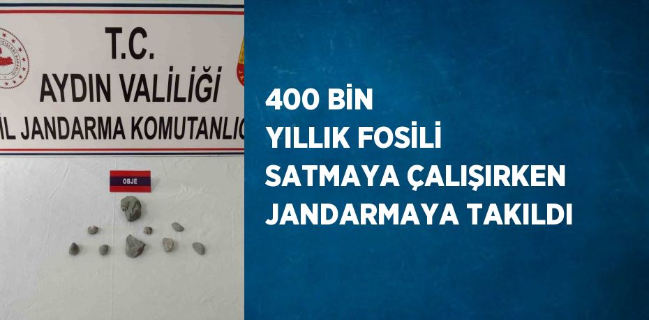 400 BİN YILLIK FOSİLİ SATMAYA ÇALIŞIRKEN JANDARMAYA TAKILDI