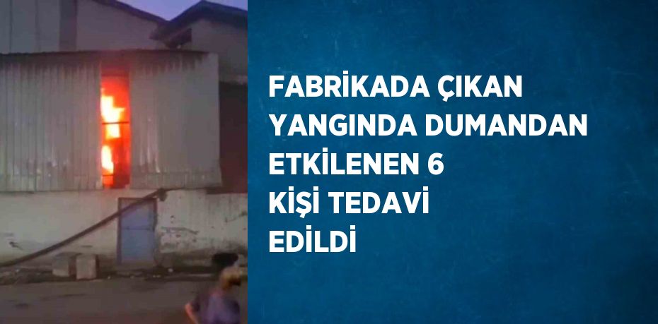 FABRİKADA ÇIKAN YANGINDA DUMANDAN ETKİLENEN 6 KİŞİ TEDAVİ EDİLDİ