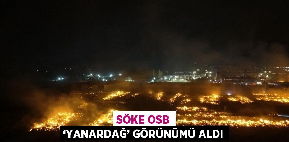 SÖKE OSB ‘YANARDAĞ’ GÖRÜNÜMÜ ALDI