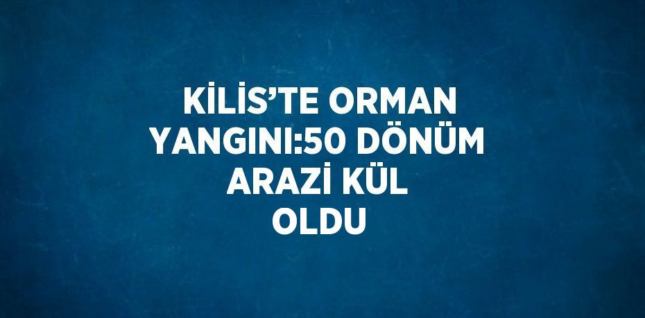 KİLİS’TE ORMAN YANGINI:50 DÖNÜM ARAZİ KÜL OLDU