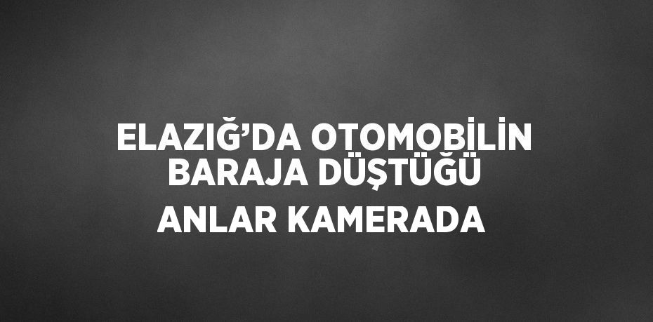 ELAZIĞ’DA OTOMOBİLİN BARAJA DÜŞTÜĞÜ ANLAR KAMERADA