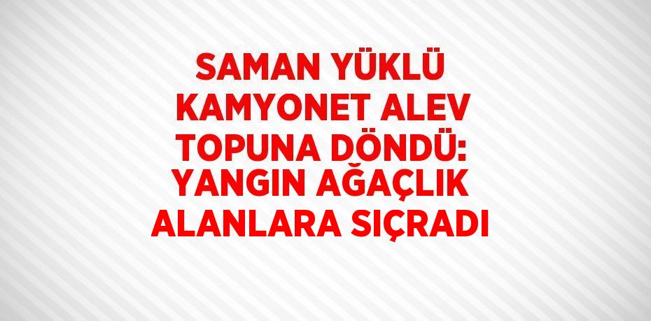 SAMAN YÜKLÜ KAMYONET ALEV TOPUNA DÖNDÜ: YANGIN AĞAÇLIK ALANLARA SIÇRADI