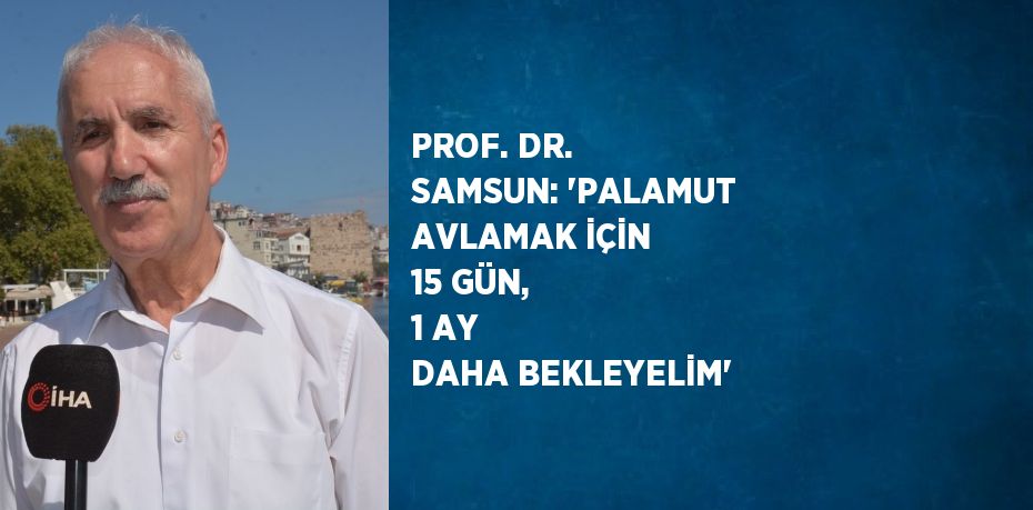 PROF. DR. SAMSUN: 'PALAMUT AVLAMAK İÇİN 15 GÜN, 1 AY DAHA BEKLEYELİM'