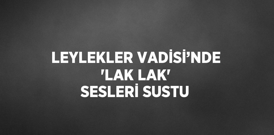 LEYLEKLER VADİSİ’NDE 'LAK LAK' SESLERİ SUSTU