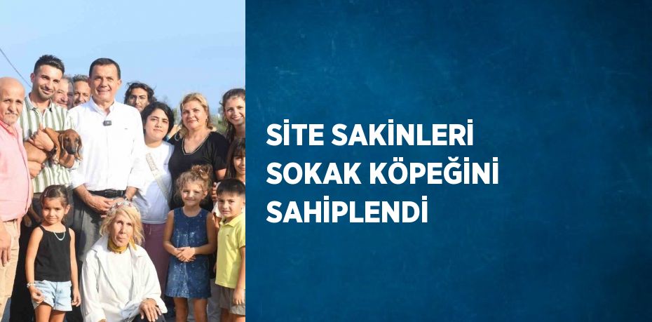 SİTE SAKİNLERİ SOKAK KÖPEĞİNİ SAHİPLENDİ