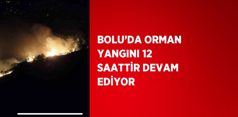 BOLU’DA ORMAN YANGINI 12 SAATTİR DEVAM EDİYOR