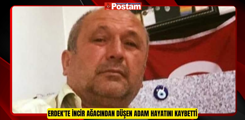 Erdek'te incir ağacından düşen adam hayatını kaybetti