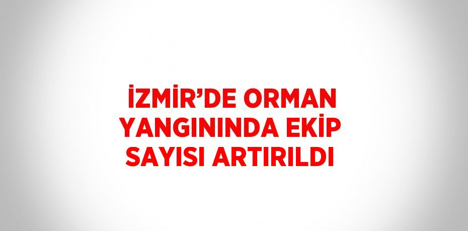 İZMİR’DE ORMAN YANGININDA EKİP SAYISI ARTIRILDI