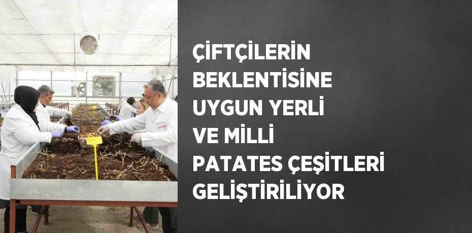 ÇİFTÇİLERİN BEKLENTİSİNE UYGUN YERLİ VE MİLLİ PATATES ÇEŞİTLERİ GELİŞTİRİLİYOR