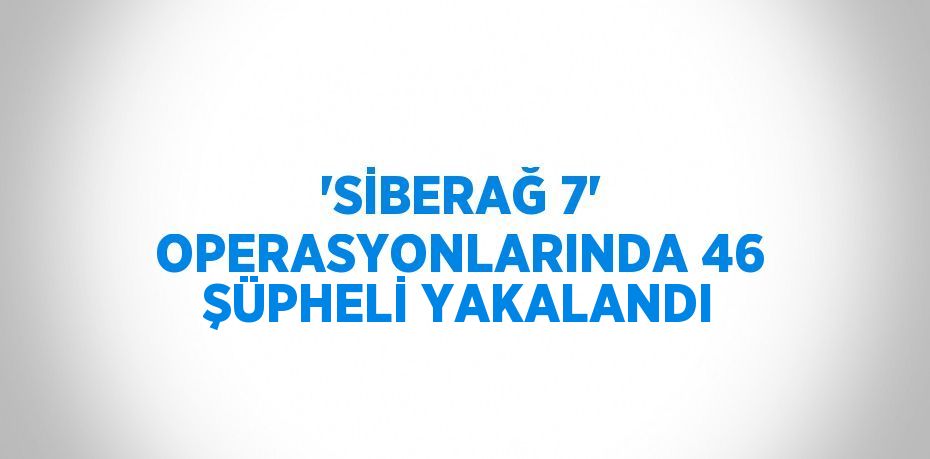 'SİBERAĞ 7' OPERASYONLARINDA 46 ŞÜPHELİ YAKALANDI