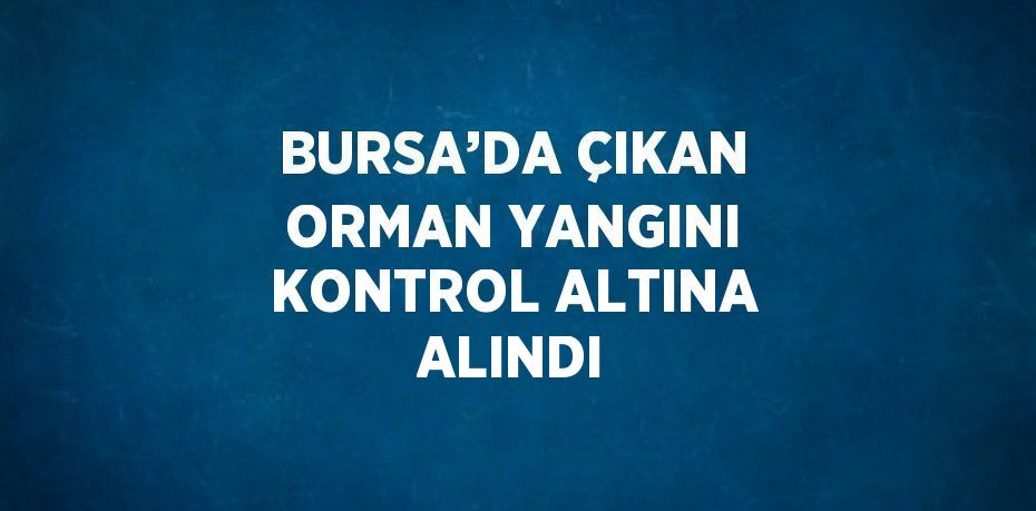 BURSA’DA ÇIKAN ORMAN YANGINI KONTROL ALTINA ALINDI