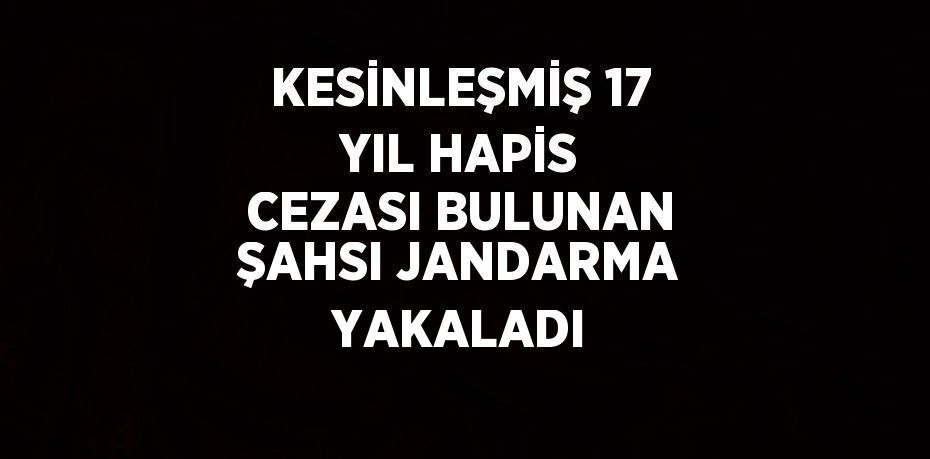 KESİNLEŞMİŞ 17 YIL HAPİS CEZASI BULUNAN ŞAHSI JANDARMA YAKALADI