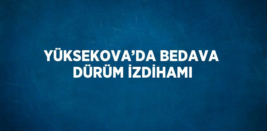 YÜKSEKOVA’DA BEDAVA DÜRÜM İZDİHAMI