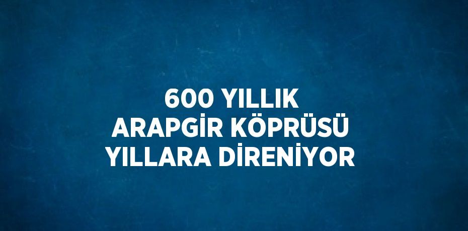 600 YILLIK ARAPGİR KÖPRÜSÜ YILLARA DİRENİYOR