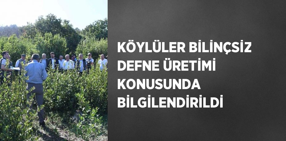 KÖYLÜLER BİLİNÇSİZ DEFNE ÜRETİMİ KONUSUNDA BİLGİLENDİRİLDİ