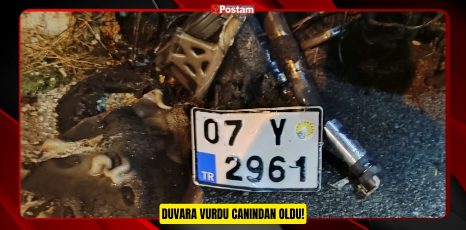 DUVARA VURDU CANINDAN OLDU!