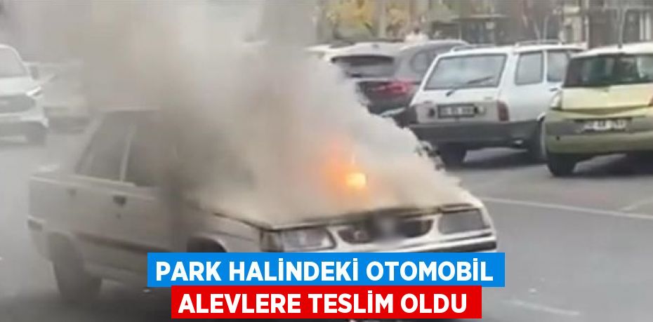 PARK HALİNDEKİ OTOMOBİL ALEVLERE TESLİM OLDU