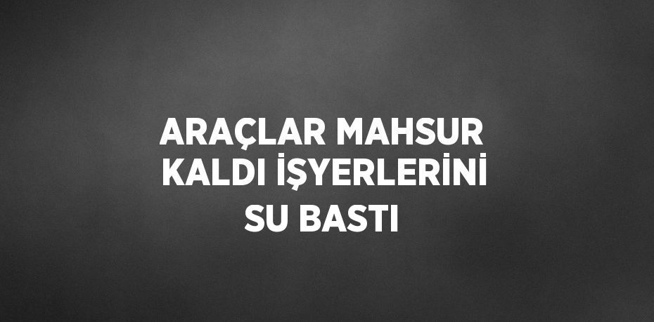 ARAÇLAR MAHSUR KALDI İŞYERLERİNİ SU BASTI